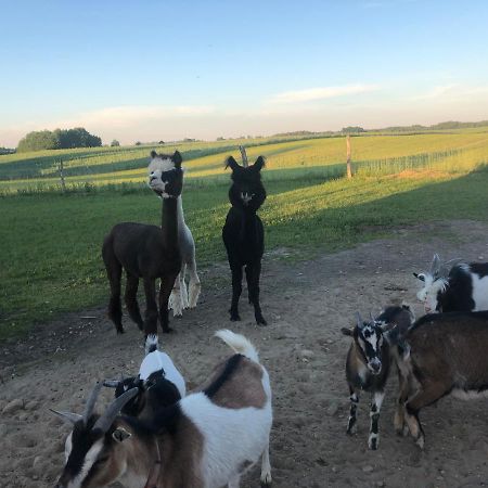 Agroturystyka Malary Pogodki エクステリア 写真