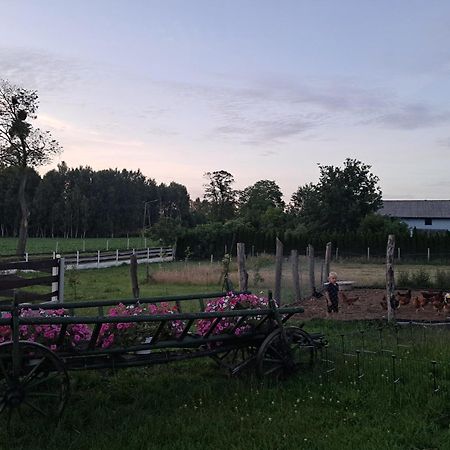 Agroturystyka Malary Pogodki エクステリア 写真